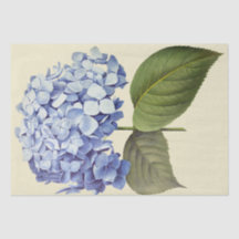 Elegante Vintage botanische Hydrangea-Blume