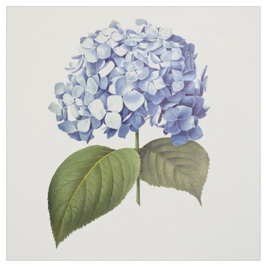 Elegante Vintage botanische Hydrangea-Blume Stoff (Muster)