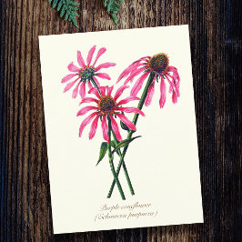 Elegante Vintage botanische Lila Blüte Postkarte