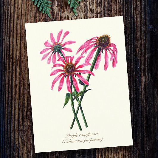Elegante Vintage botanische Lila Blüte Postkarte