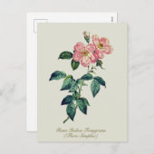 Elegante Vintage botanische Rosa Feiertagspostkarte (Vorne/Hinten)