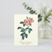Elegante Vintage botanische Rosa Weiße einfache Ro Postkarte (Stehend Vorderseite)