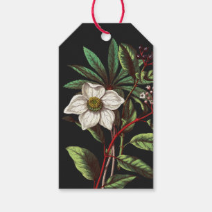 Elegante Vintage botanische Rose Blume Geschenkanhänger