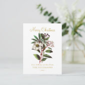 Elegante Vintage botanische Rose Blume Postkarte (Stehend Vorderseite)