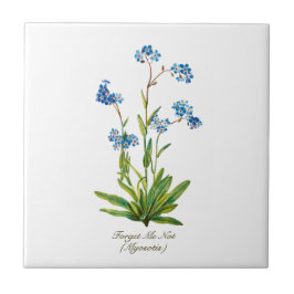Elegante Vintage botanische Vergessen Sie mir nich Fliese