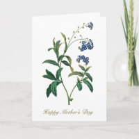 Elegante Vintage botanische Vergessen Sie mir nich