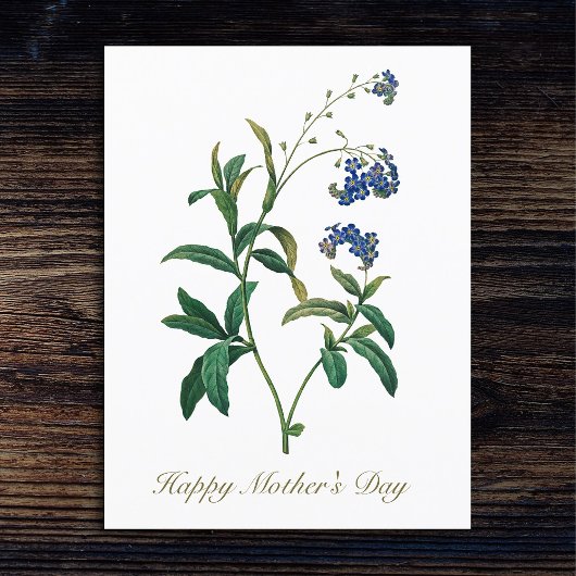 Elegante Vintage botanische Vergessen Sie mir nich Postkarte