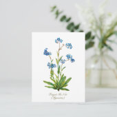 Elegante Vintage botanische Vergessen Sie mir nich Postkarte (Stehend Vorderseite)