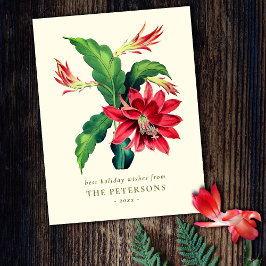 Elegante Vintage botanische Weihnachtskaktus-Blume Postkarte