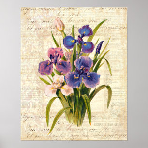 Elegante Vintage-französische rosa und violette Sc Poster