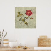 Elegante Vintage französische Rose Poster (Küche)