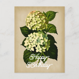 Elegante Vintage Hydrangea Blume Happy Birthday Postkarte
