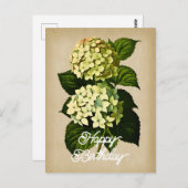 Elegante Vintage Hydrangea Blume Happy Birthday Postkarte (Vorne/Hinten)