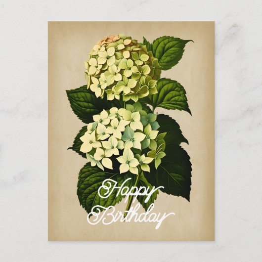 Elegante Vintage Hydrangea Blume Happy Birthday Postkarte (Vorderseite)