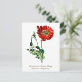 Elegante Vintage Opiummohn-Blume Postkarte (Stehend Vorderseite)