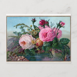 Elegante Vintage Rosa Rosen Postkarte