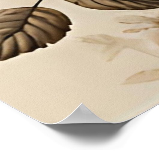 Elegante Vintage Rose Botanische Kunst Poster (Ecke)