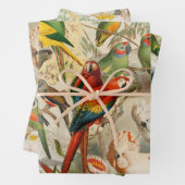Elegante Vintage tropische Vogelwelten Geschenkpapier Set (Beispiel)