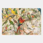 Elegante Vintage tropische Vogelwelten Geschenkpapier Set (Vorderseite)