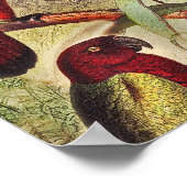 Elegante Vintage tropische Vogelwelten Poster (Ecke)