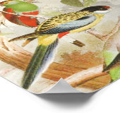 Elegante Vintage tropische Vogelwelten Poster (Ecke)