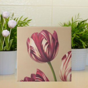 Elegante Vintage Tulip Fliese