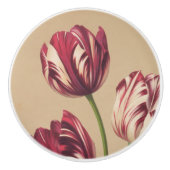 Elegante Vintage Tulip Keramikknauf (Vorderseite)
