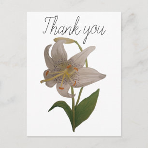 Elegante Vintage Weiße Lilienblume Danke Postkarte