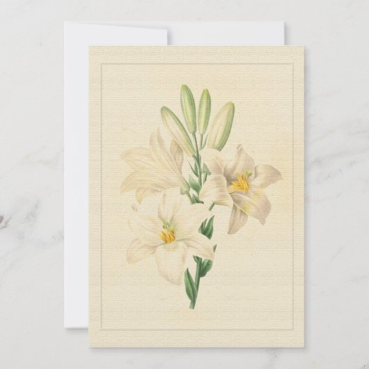 Elegante Vintage, weiße Lilienhochzeit Einladung (Rückseite)