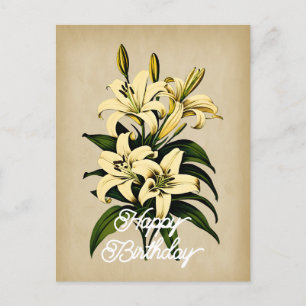 Elegante Vintage White Lily Blume Happy Birthday Postkarte