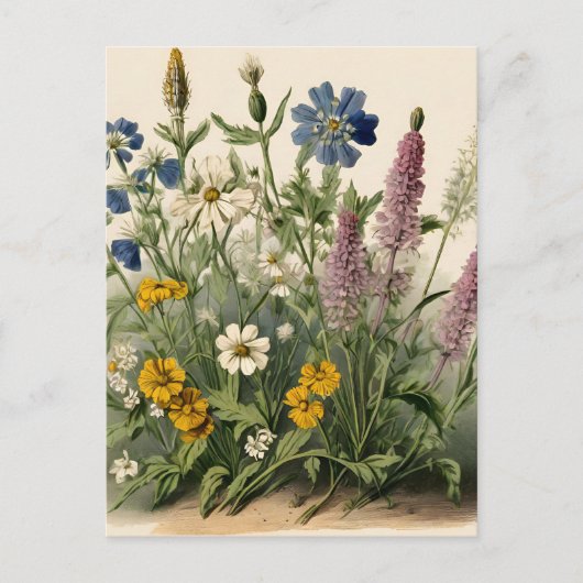 Elegante Vintage Wildblumen Postkarte (Vorderseite)