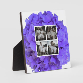 Elegante violette Lavendel Flieder florale Hortens Fotoplatte