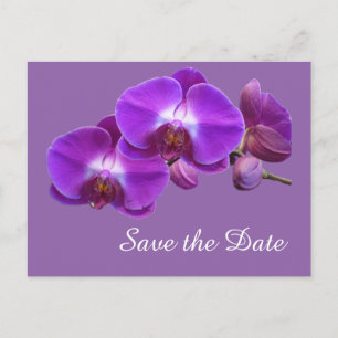 Elegante, violette Orchideenblüten retten das Datu Ankündigungspostkarte