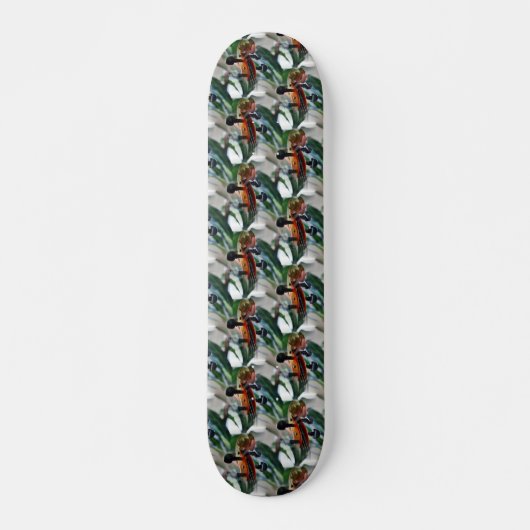 Elegante Violin Scroll Skateboard (Vorne)