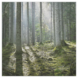 Elegante Waldmorgenszene Stoff