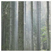 Elegante Waldmorgenszene Stoff (Nahaufnahme)