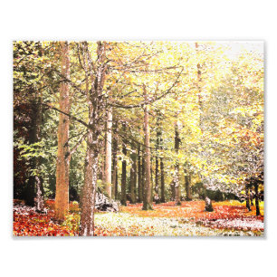 Elegante Wasserfarben-Wald Bäume im Herbst Fotodruck