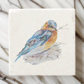 Elegante Watercolor Bluebird Nature Steinuntersetzer