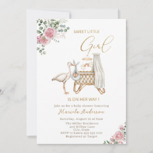 Elegante Watercolor Stork Baby Girl Baby Shower Einladung