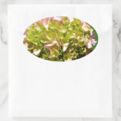 Elegante weiche, grüne, rosafarbene, blühende Hydr Ovaler Aufkleber (Tasche)