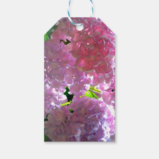 Elegante weiche rosa Blumen rosa Hydrangeas-Rose Geschenkanhänger (Vorderseite)