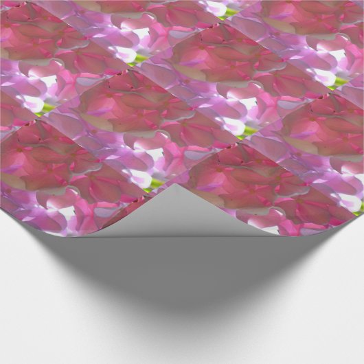 Elegante weiche rosa Blumen rosa Hydrangeas-Rose Geschenkpapier (Ecke)