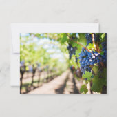 Elegante Weine und Weintrauben Hochzeitskarte Einladung (Rückseite)