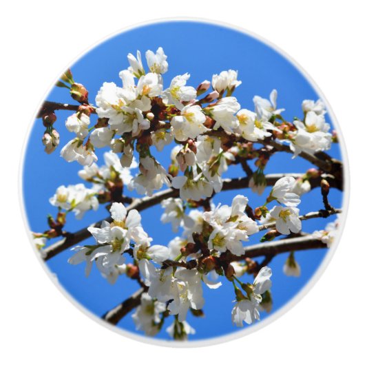 Elegante weiße Blüten Keramikknauf (Vorderseite)