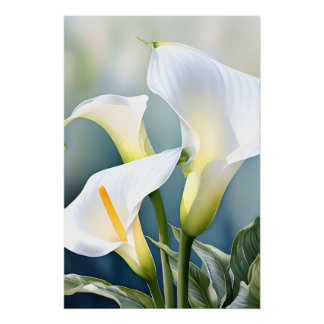 Elegante weiße Calla-Lilie Wasserfarbe Botanische Poster