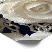 Elegante, weiße dekorative Rose Poster (Ecke)
