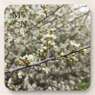 Elegante weiße florale Frühlingsblüte personalisie Getränkeuntersetzer
