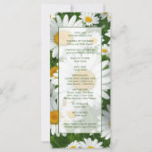 Elegante weiße Gänseblumen (Rückseite)