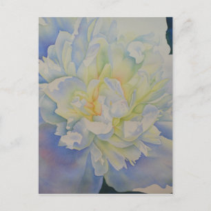 Elegante weiße gelbe Pfingstrose Blumen-Aquarell Postkarte