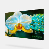 Elegante weiße Orchidee mit Wassertropfen Botanik Acrylschild (Winkel)